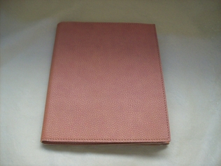 Novità_2012 - porta iPad